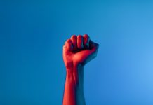 JAK SIĘ ROBI REWOLUCJĘ?