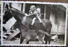 Książka Babci (20) Fifina