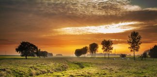 Ligęza: WIELUŃ O ŚWICIE