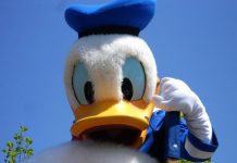 Michalkiewicz: Z frontu wojny Donalda z Kaczorem