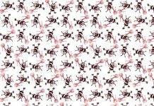 Izrael wykorzystał w Gazie rój dronów bojowych sterowany sztuczną inteligencją