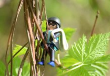 Farmus: Siódme nie kradnij