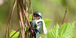 Farmus: Siódme nie kradnij