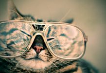 Ligęza: 6. WYPSKNIĘCIA