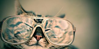 Ligęza: 6. WYPSKNIĘCIA