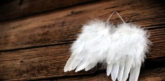 Michalinka: Anioł za pół miliona