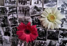 Kumor: Niemcy wyrwali Warszawę z korzeniami