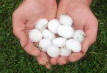 Grad zniszczył uprawy w zachodnim Ontario