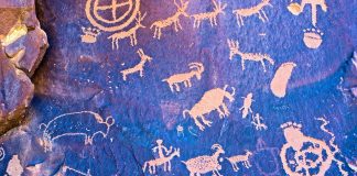 Ligęza: KULTURA DZIKUSÓW