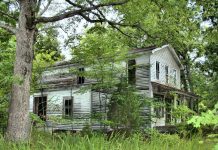 Hamilton rozważa wprowadzenie podatku od nieużytkowanych nieruchomości