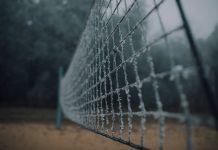 Marcin Baraniecki: KAPO (13)