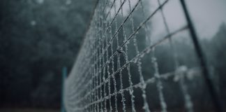 Marcin Baraniecki: KAPO (13)