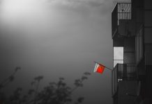 Kumor: Od nich zależy ile Polski w Polsce zostanie