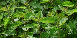 Michalinka: Czasem coś przypadkowo pięknie wyjdzie