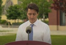 Liberałowie pod wodzą Trudeau prowadzą w sondażach