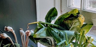 Michalinka: Nie ma co, trzeba sobie radzić