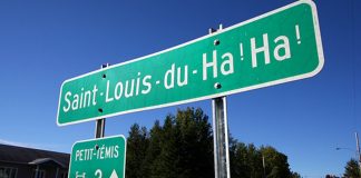 Farmus: Saint Luis du Ha! Ha!