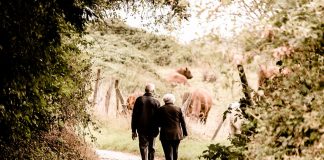 Michalinka: Ele mele dutki