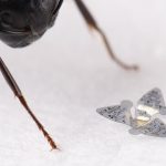 Między innymi do śledzenia ludzi i propagacji chorób