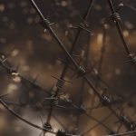 Beware the totalitarian instincts of ‘the collective’