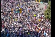 Masowe protesty przeciwko paszportom szczepionkowym w Kolumbii Brytyjskiej