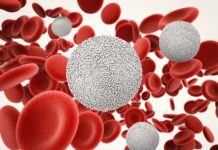 Odwrócono proces starzenia komórek układu odpornościowego