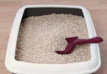 Ligęza: ŻWIREK W KUWECIE