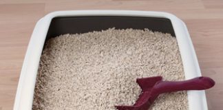 Ligęza: ŻWIREK W KUWECIE