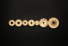 Michalkiewicz: L`embarras de richesse