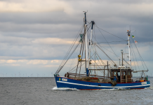 Rybacy mają oddawać zasiłki covidowe – błędnie podali status zatrudnienia