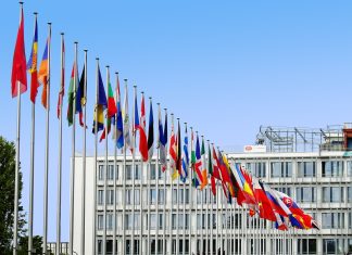 Michalkiewicz: Dintojra w Strasburgu