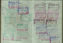 Marcin Baraniecki: KAPO (25)