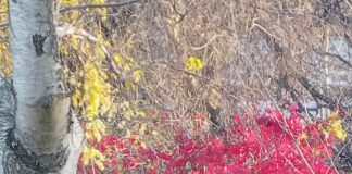 Michalinka: A mnie jest szkoda lata…