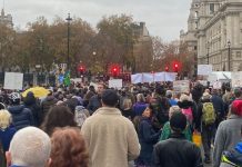 FREEDOM (WOLNOŚĆ) W LONDYNIE 20/11/2021