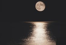 Michalkiewicz: Księżyc może i wzejdzie…