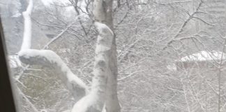 Michalinka: Szaro, buro, ach jak nieprzyjemnie