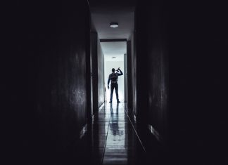 Ligęza: MIECZ DOMESTOSA