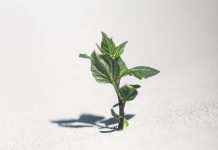 Farmus: Coś się ruszyło?