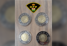 Uwaga na dwudolarówki z morsem!