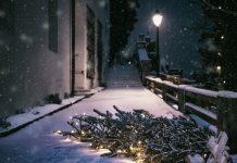 Ustawowe święta Bożego Narodzenia to forma „nietolerancji religijnej”,