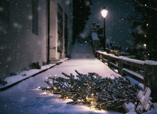 Michalkiewicz: Święta i po świętach