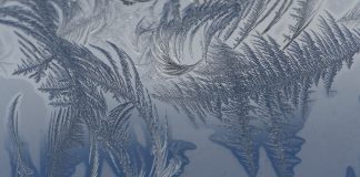 Michalinka: A kysz zmory