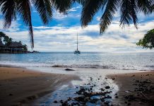 Farmus: Samobójstwo czy morderstwo?