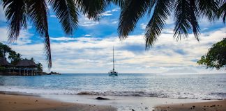 Farmus: Samobójstwo czy morderstwo?