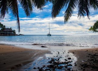 Farmus: Samobójstwo czy morderstwo?