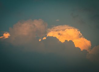 Michalkiewicz: Nirwana przerywana