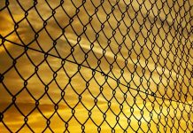 Trudeau wprowadzi stan wyjątkowy