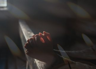 Pruszyński: Mowa do słupa