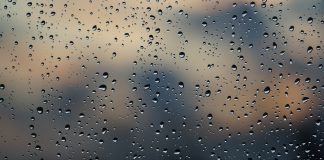 Ligęza: PESYMIZM JACKIEM PODPARTY