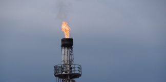 Farmus: Co jest za kulisami wojny niemiecko-rosyjskiej?